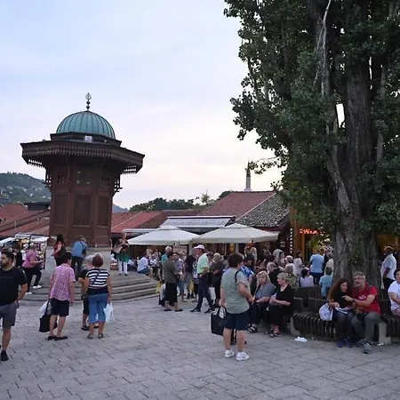Cozy Whole * Sarajevo